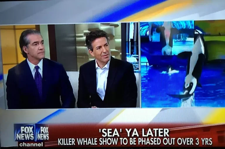 Wayne Pacelle on Fox about Sea World